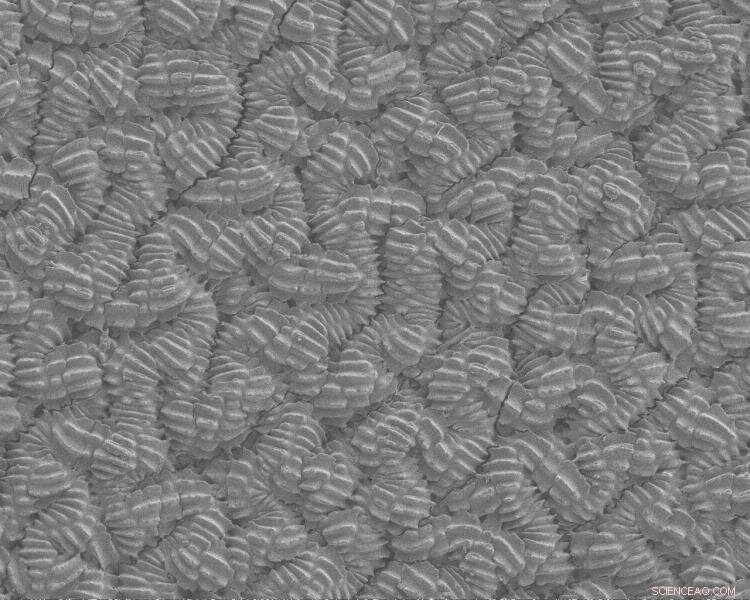 New Snake-Inspired Material Achieves Ultra-Low Friction