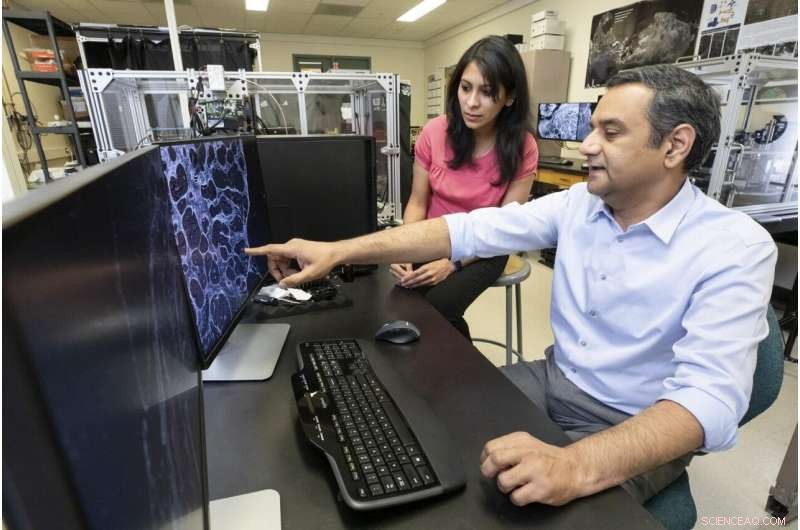 Revolutionary Microscopy Method Unlocks Molecular Configuration Analysis at the Microscale