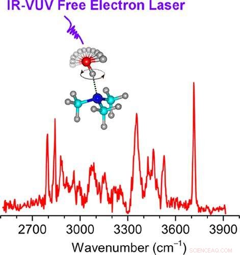 Scientists Reveal Dynamic Coupling of Strong Hydrogen Bonds: A Breakthrough Study