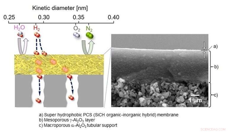 New Hydrogen Purification Membrane Sets Stage for Cleaner Energy