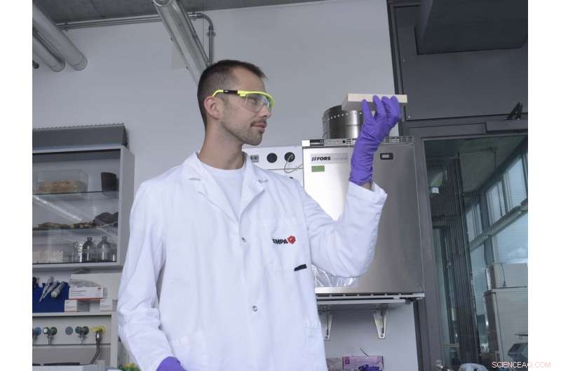 Researchers Scale Mushroom Melanin Production to Industrial Levels