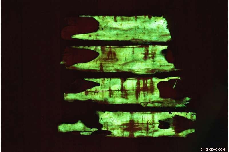 Researchers Scale Mushroom Melanin Production to Industrial Levels