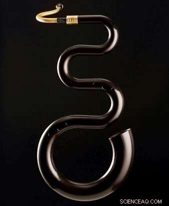 Researchers Scale Mushroom Melanin Production to Industrial Levels