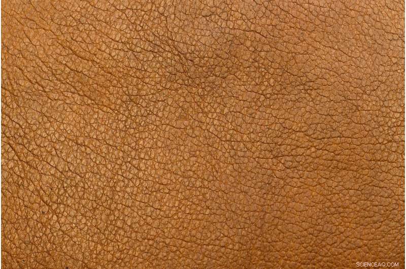 Sustainable Leather Alternatives: Innovating Eco-Friendly Fashion