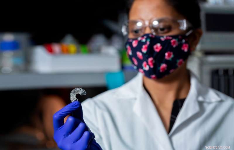 Scientists Harness Silkworm Silk to Create Realistic Muscle Tissue Models