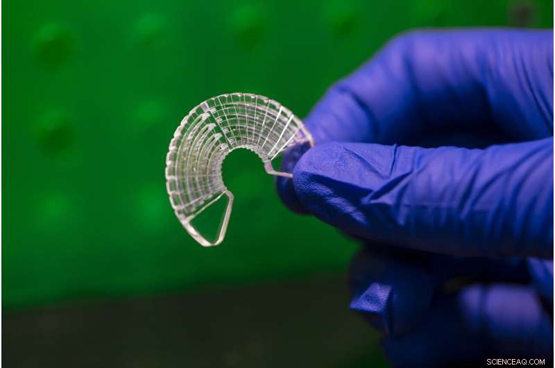 Scientists Harness Silkworm Silk to Create Realistic Muscle Tissue Models