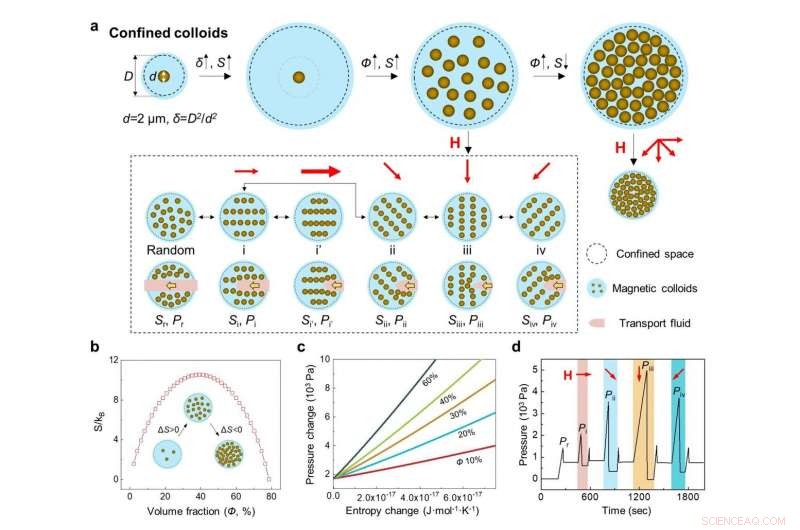 Controllable Fluid Transport Using Confined Magnetic Colloidal Systems