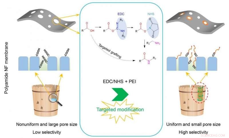 Enhanced Selectivity of Polyamide Nanofiltration Membranes via a Novel Targeted Modification Strategy