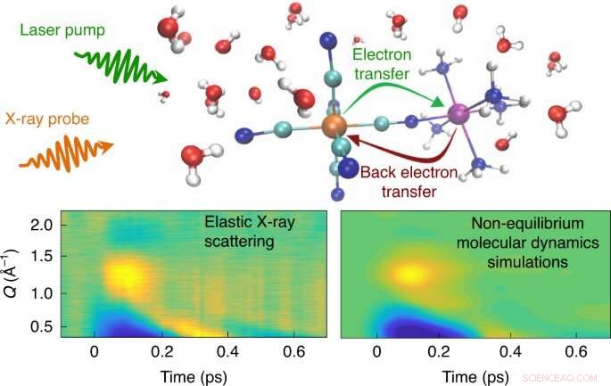 Scientists Reveal How Solvent Molecules Influence Light-Driven Chemical Reactions