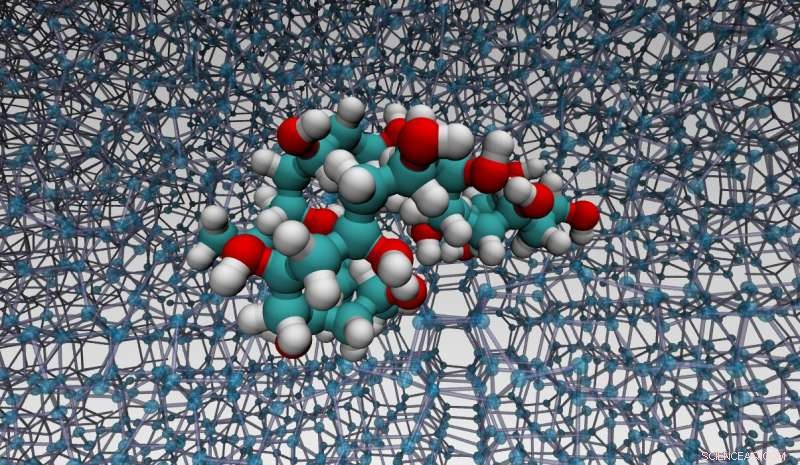 Decoding Polymer-Ice Binding: A Breakthrough in Cryopreservation