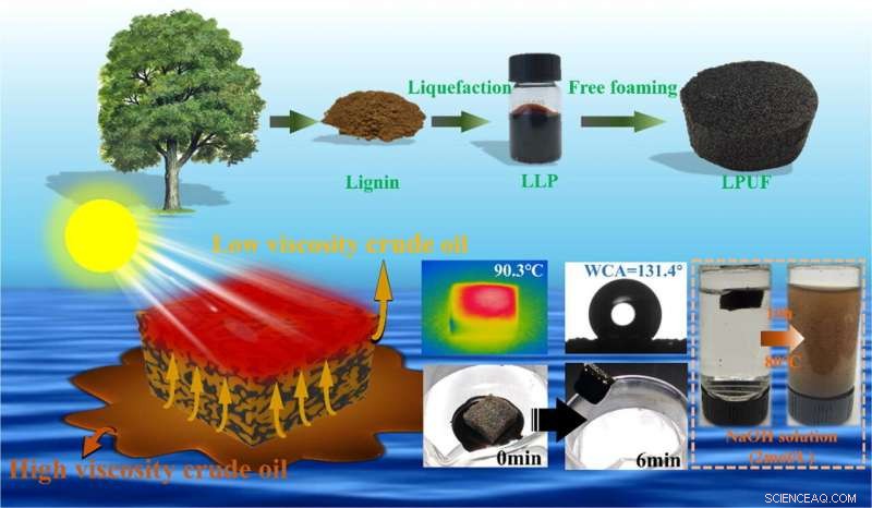 Eco‑Friendly Lignin‑Based Polyurethane Adsorbent for Rapid Crude Oil Remediation