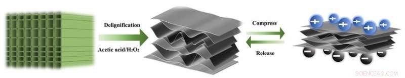 Harnessing Electricity from Floor Surfaces: Innovative Wood-Based Power Generation