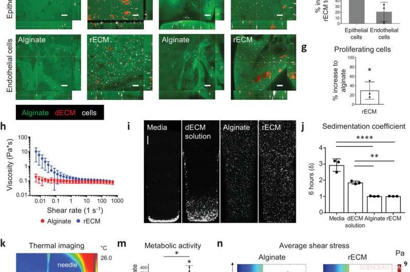 Breakthrough Bioink Paves the Way for Realistic 3D-Printed Human Organs