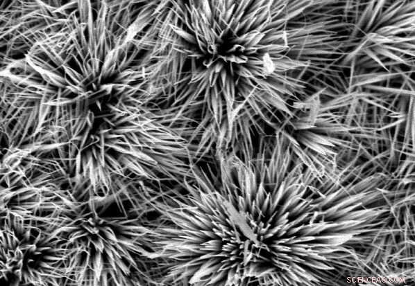 Affordable Tin Doping Elevates Supercapacitor Performance