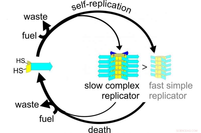 How Death Drives Complexity in Chemical Evolution