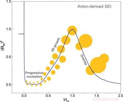 How Anions and Solvents Guide Solid Electrolyte Interphase Formation in Batteries