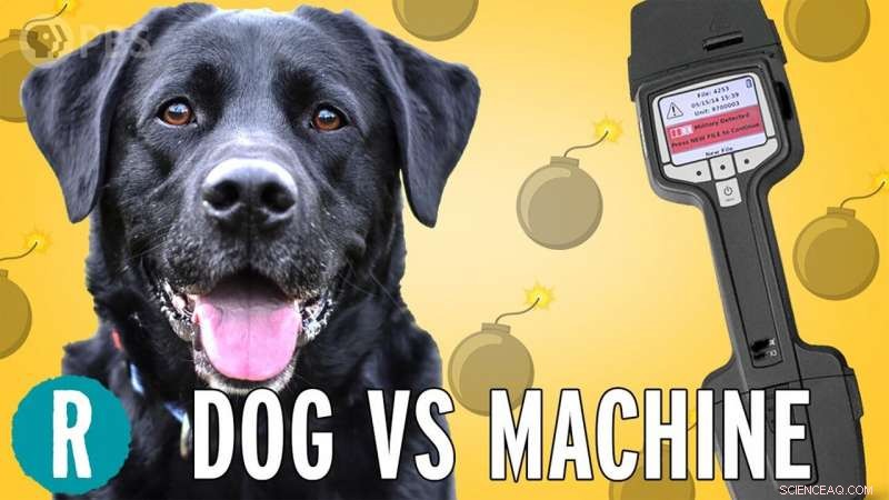 Video: Dog vs. Machine—Which Detects Bombs Better?