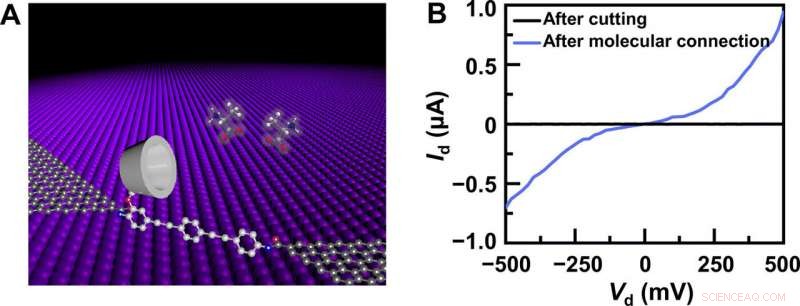 Single-Molecule Electrical Detection of Amino Acids and Chirality Using PM-β-CD–Graphene Devices