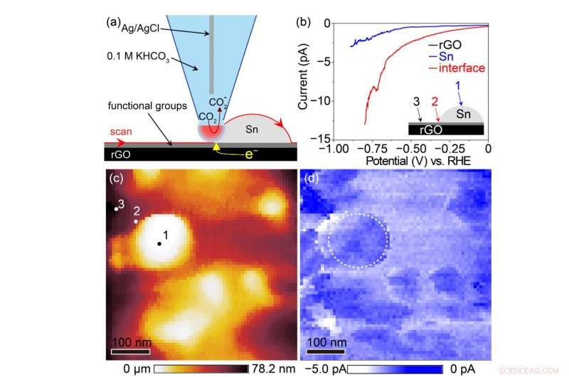 Tin/Reduced Graphene Oxide Catalyst Enables Efficient Electrochemical Conversion of CO₂ to Formate