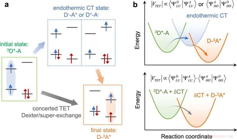 Endothermic Charge-Transfer Drives Distance-Dependent Triplet Energy Migration