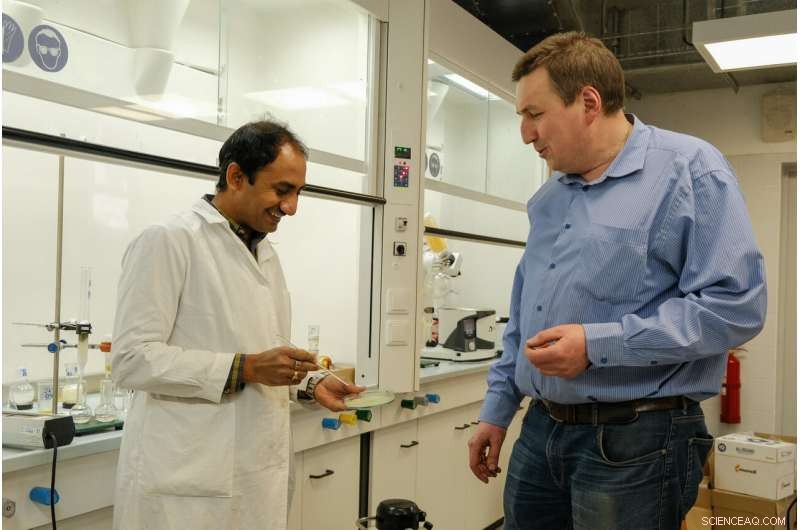 Edible Food Films Developed by International Scientists Revolutionize Packaging