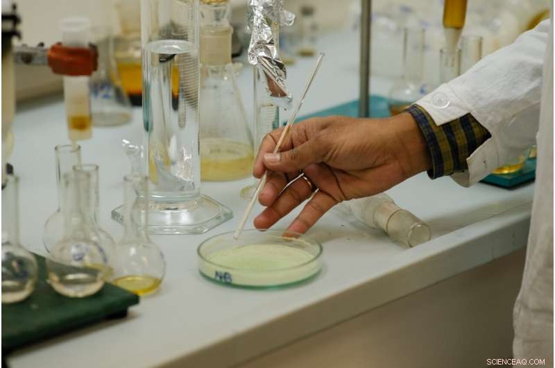 Edible Food Films Developed by International Scientists Revolutionize Packaging