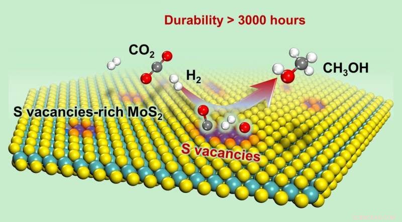 Efficient Low-Temperature CO₂ Hydrogenation to Methanol Using Sulfur‑Vacancy Rich MoS₂