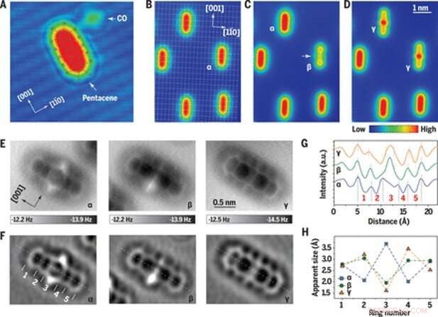 Exploring Structural and Chemical Variations of Surface Species at the Single-Bond Limit
