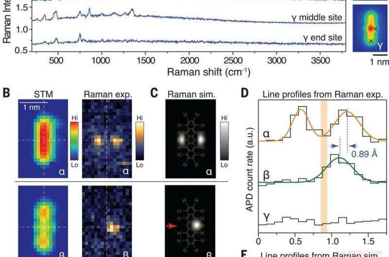 Exploring Structural and Chemical Variations of Surface Species at the Single-Bond Limit