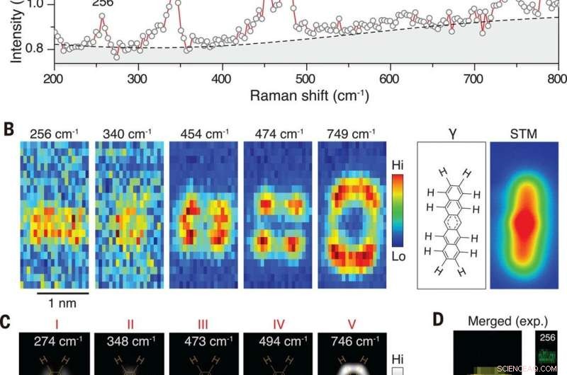 Exploring Structural and Chemical Variations of Surface Species at the Single-Bond Limit