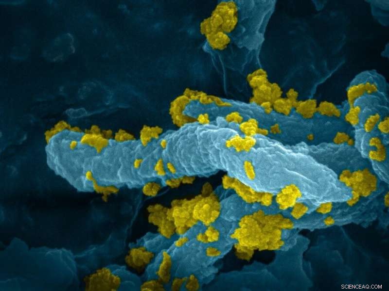 Harnessing Solar Light to Produce Clean Hydrogen