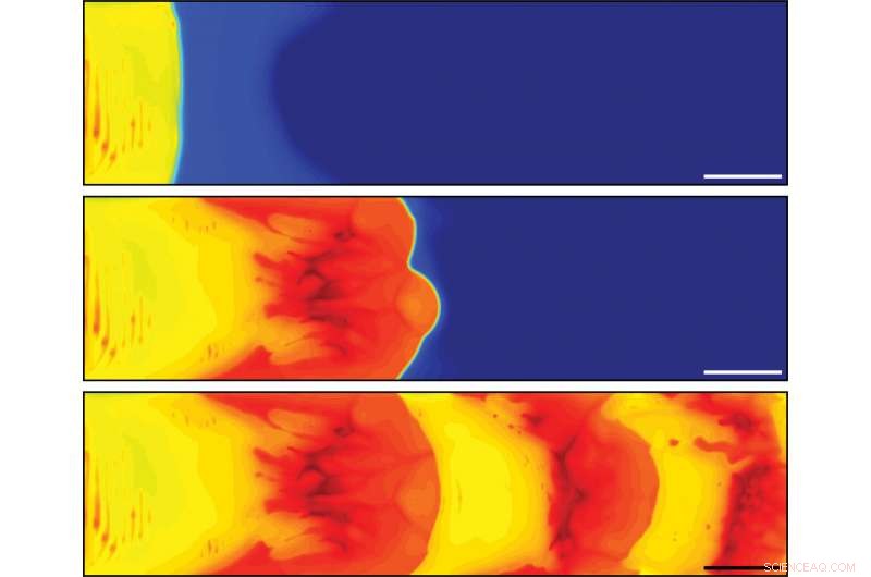 Harnessing Heat-Driven Polymer Fronts for Spontaneous Patterning in Synthetic Materials