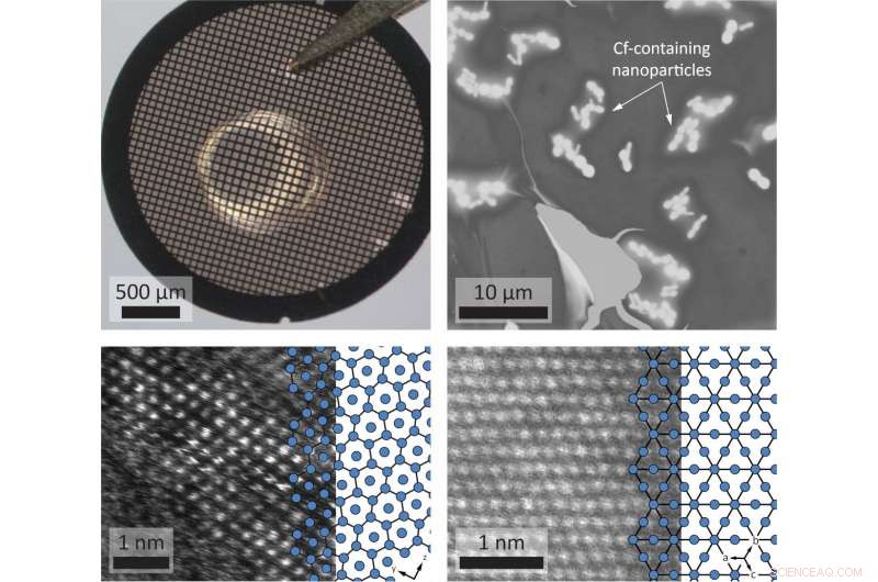 Berkelium & Californium: From Discovery to Modern Research