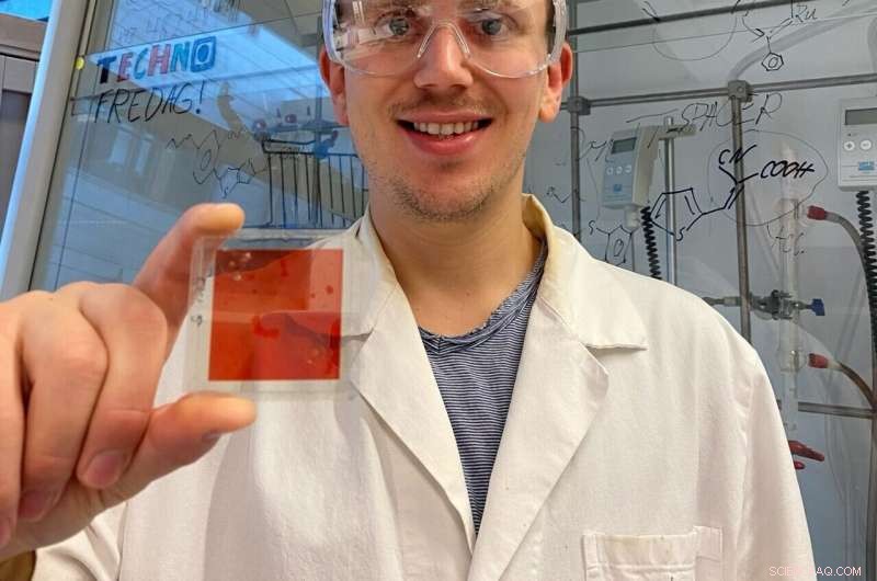 Harnessing Solar Energy with Nature-Inspired Dye Technologies