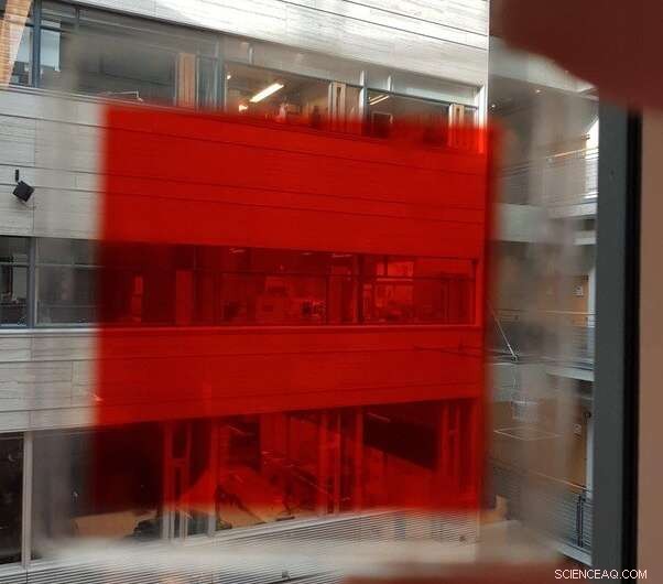 Harnessing Solar Energy with Nature-Inspired Dye Technologies