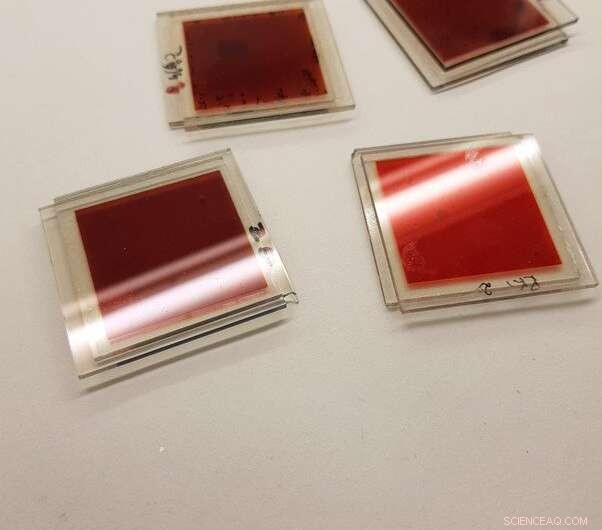 Harnessing Solar Energy with Nature-Inspired Dye Technologies