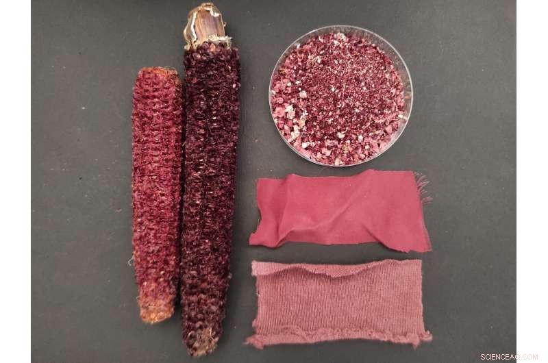 Purple Corn Chip By‑Products Convert into Natural Dye, Nutritional Supplements, and Eco‑Friendly Kitty Litter