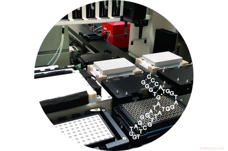 New Molecule Targets Coronavirus Through Innovative Mechanism