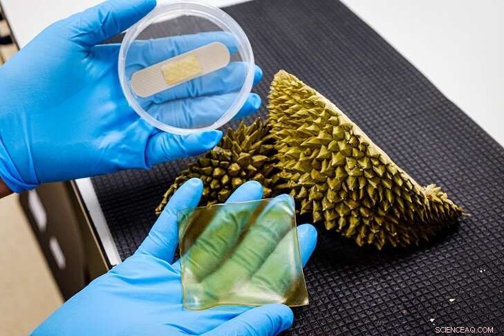 NTU Scientists Pioneer Antibacterial Gel Bandage from Durian Husk