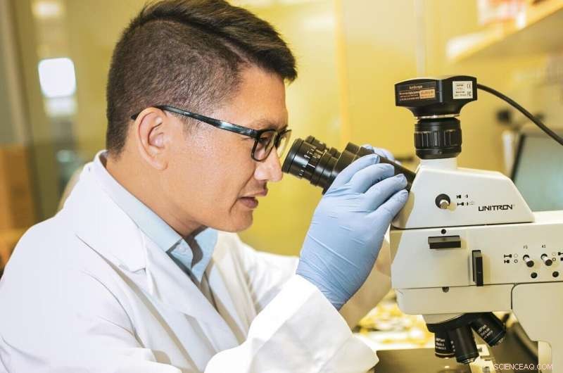 Innovative Droplet-Collecting Technology Enhances Energy-Free Water Harvesting