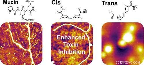 Synthetic Mucus Successfully Replicates Natural Defenses