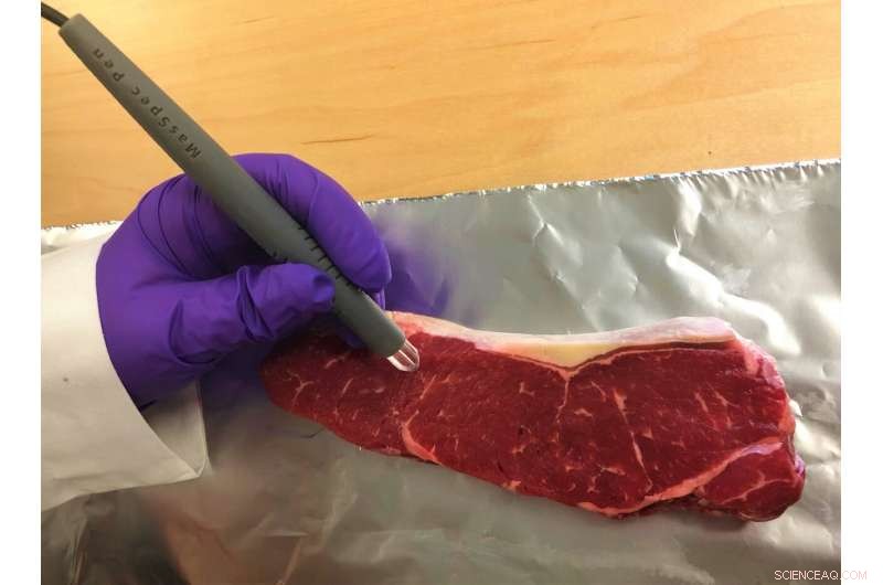 Instant Meat & Fish Fraud Detection with the Handheld MasSpec Pen – Accurate Results in Seconds