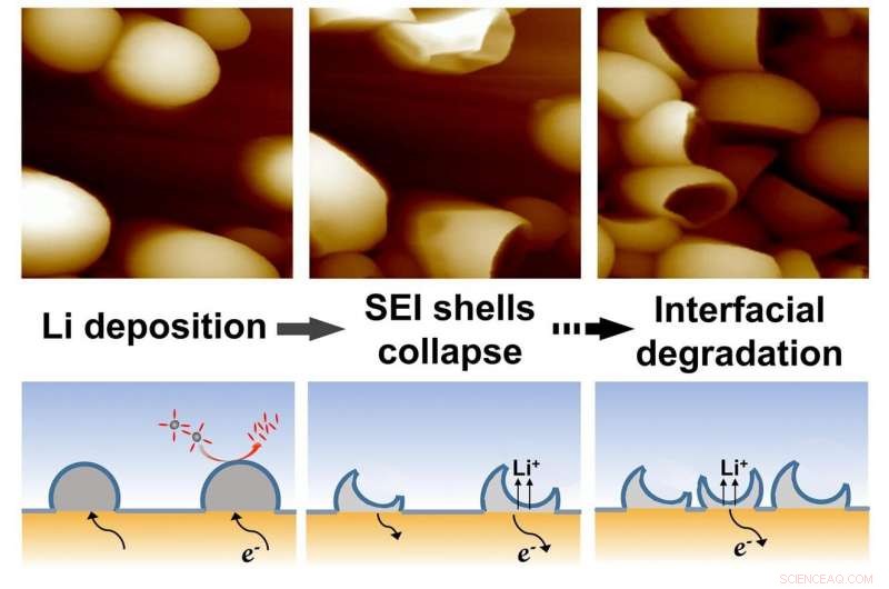 In‑Situ Nanoscale Analysis Reveals Solid Electrolyte Interphase Shell Evolution