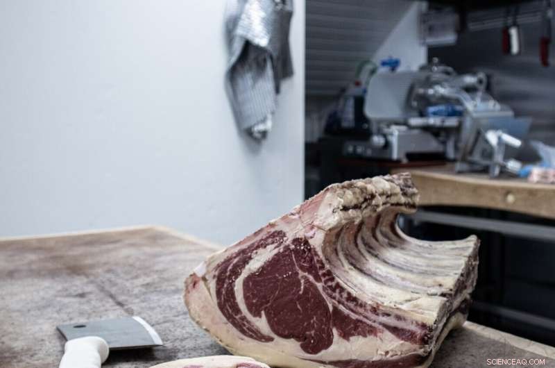 AI-Powered Technique Enables Accurate Freshness Assessment of Beef Samples