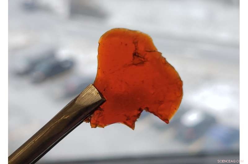 Turning Fish By‑Products into Cleaner, Greener Plastics