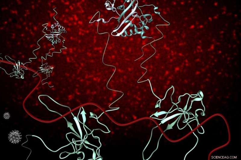 Exploring SARS‑CoV‑2 Nucleocapsid Protein Paves Way for Novel COVID‑19 Treatments and Vaccines