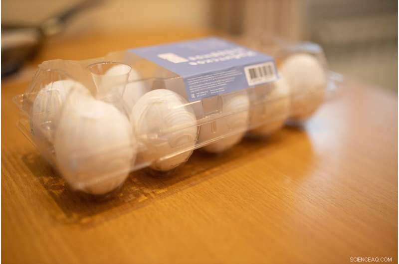 Scientists Create Affordable, Reliable Disinfection Technology for Packed Eggs