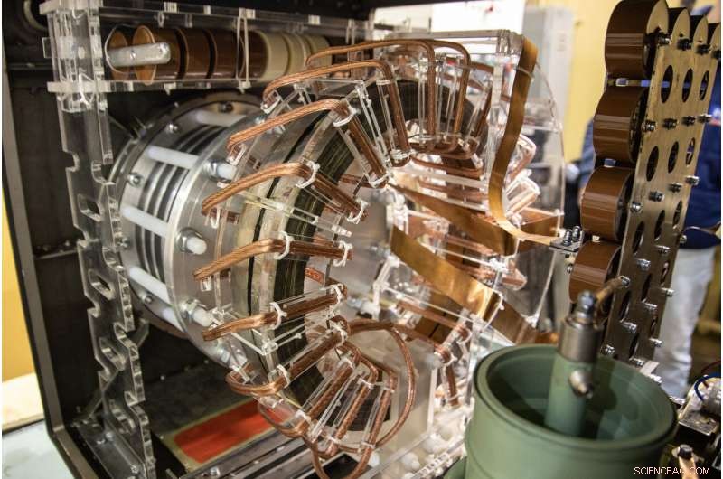 Scientists Create Affordable, Reliable Disinfection Technology for Packed Eggs