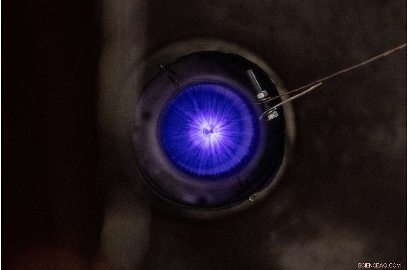 Scientists Create Affordable, Reliable Disinfection Technology for Packed Eggs