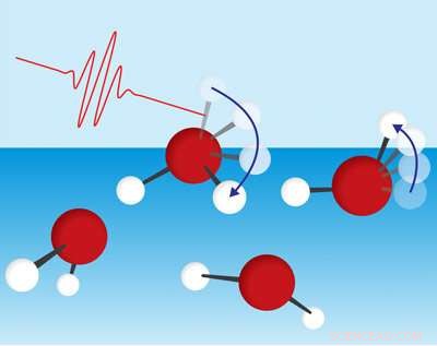 Surface Water Molecules Lose Energy by Rotating Free OH Groups